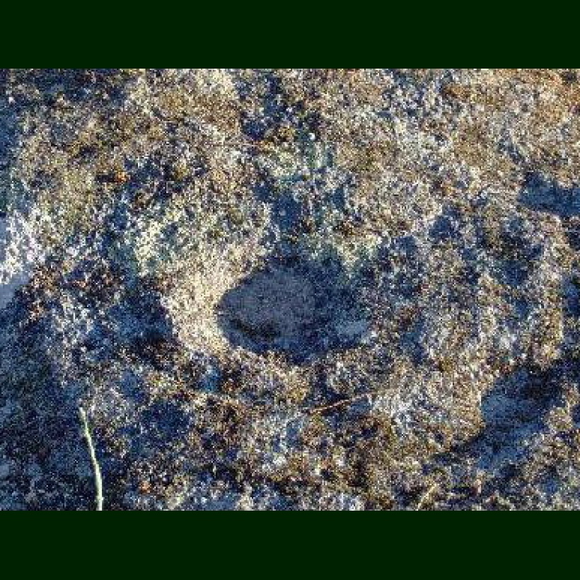 Petroglifo principal da Ermida